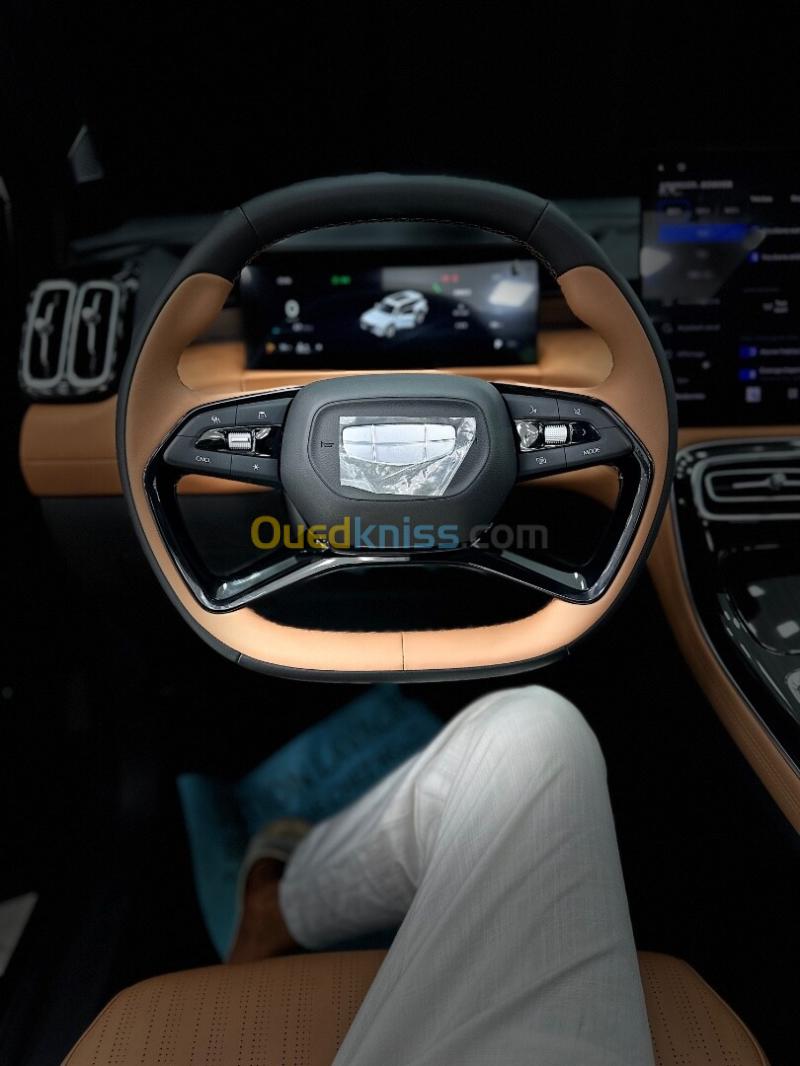 Geely BOYUE L / starray 2026 Flackchip 25