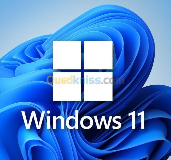 Licences Microsoft windows pro 8.1/10/11 3