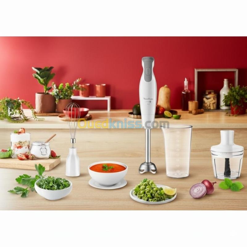 Bras Mixeur Plongeant 3en1 Moulinex DailyChef 600W - 2 Vitesses avec Hachoir, Fouet et Verre doseur 2