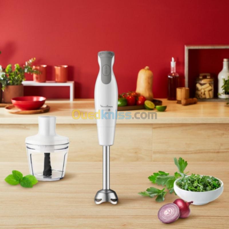 Bras Mixeur Plongeant 3en1 Moulinex DailyChef 600W - 2 Vitesses avec Hachoir, Fouet et Verre doseur 4