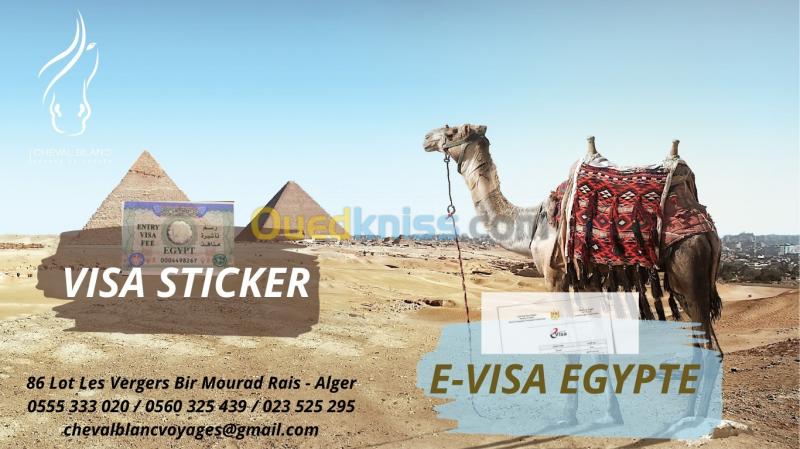  E-visa Dubai/jordanie/ turquie/ egypte/ azerbaidjan 