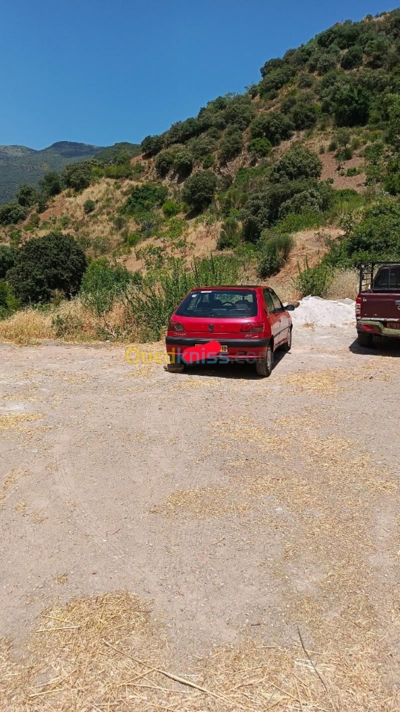 Peugeot 306 1994 306 4