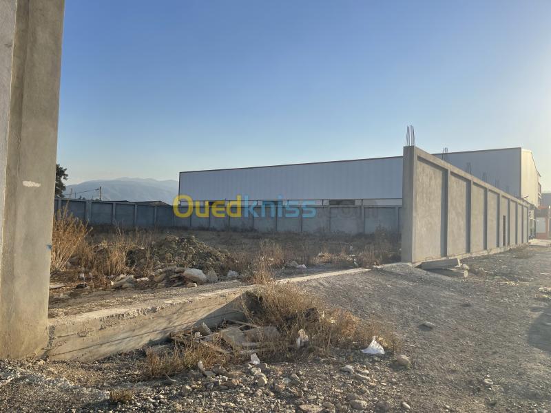 Location Terrain Alger Ouled chebel 2