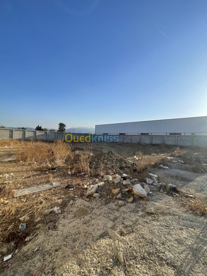 Location Terrain Alger Ouled chebel 3