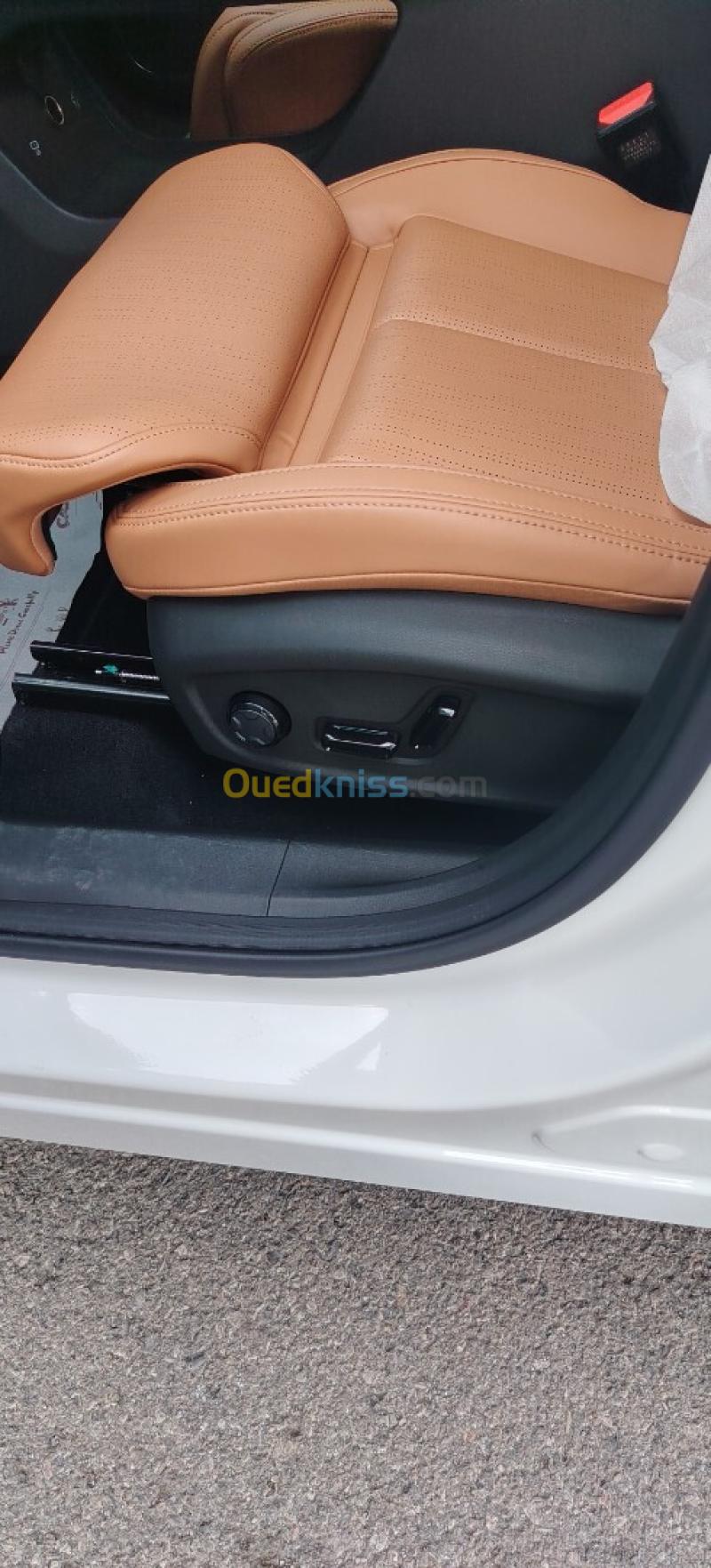 Geely Starray 2026 Flagship 11