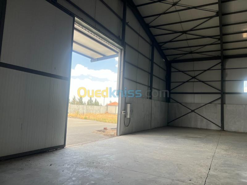 Location Hangar - Usine Sétif Mezloug 8