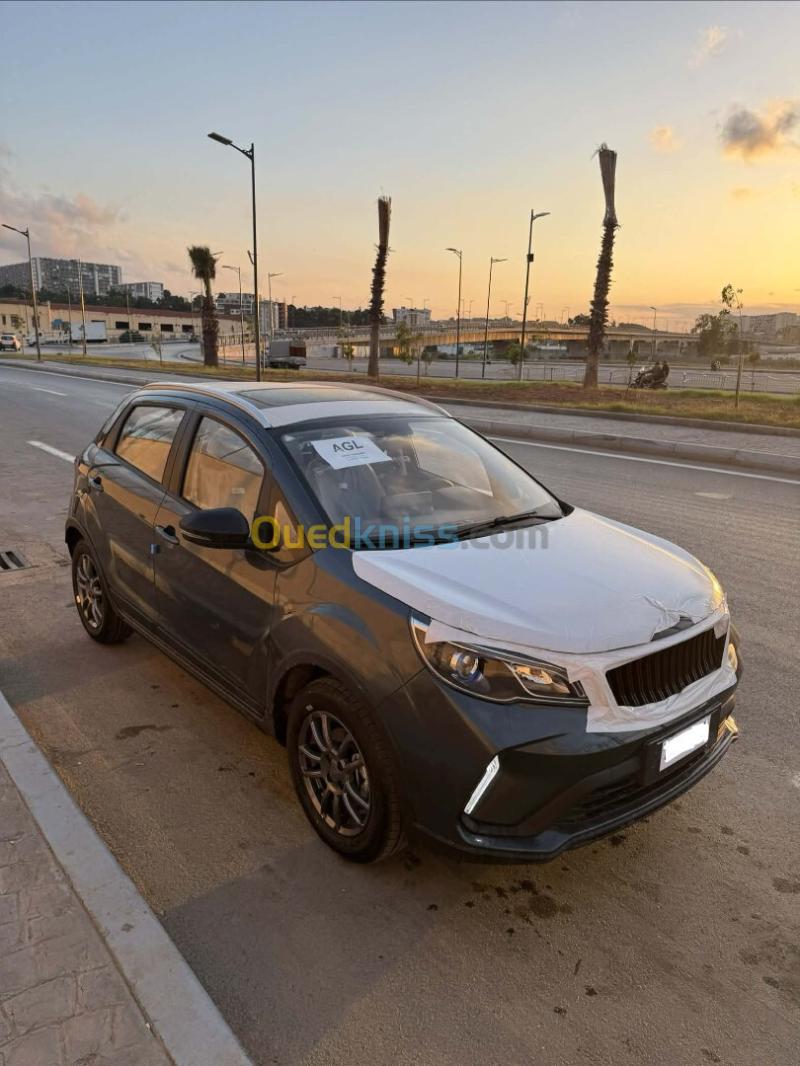 Livan X3 Pro  2024 Automatique (Avec toi ouvrant ) 3