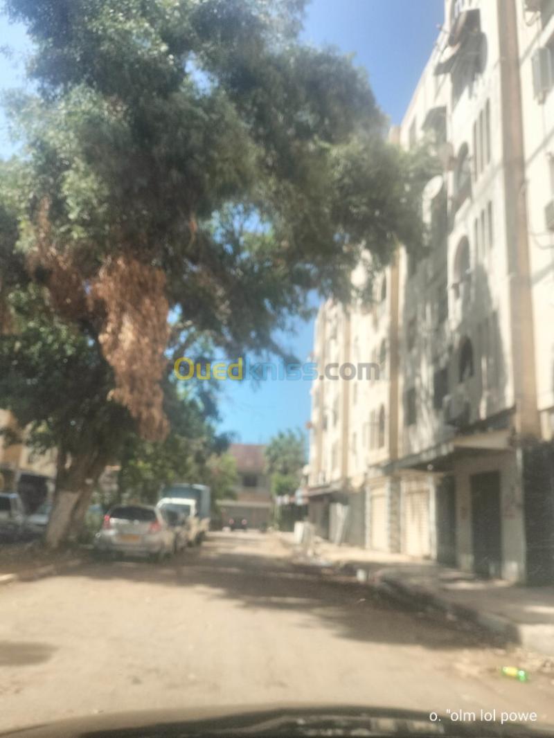 Location Appartement F3 Alger Bordj el bahri 6