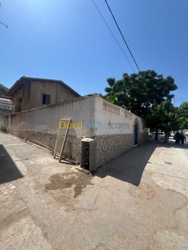 Vente Villa Alger Hammamet 9