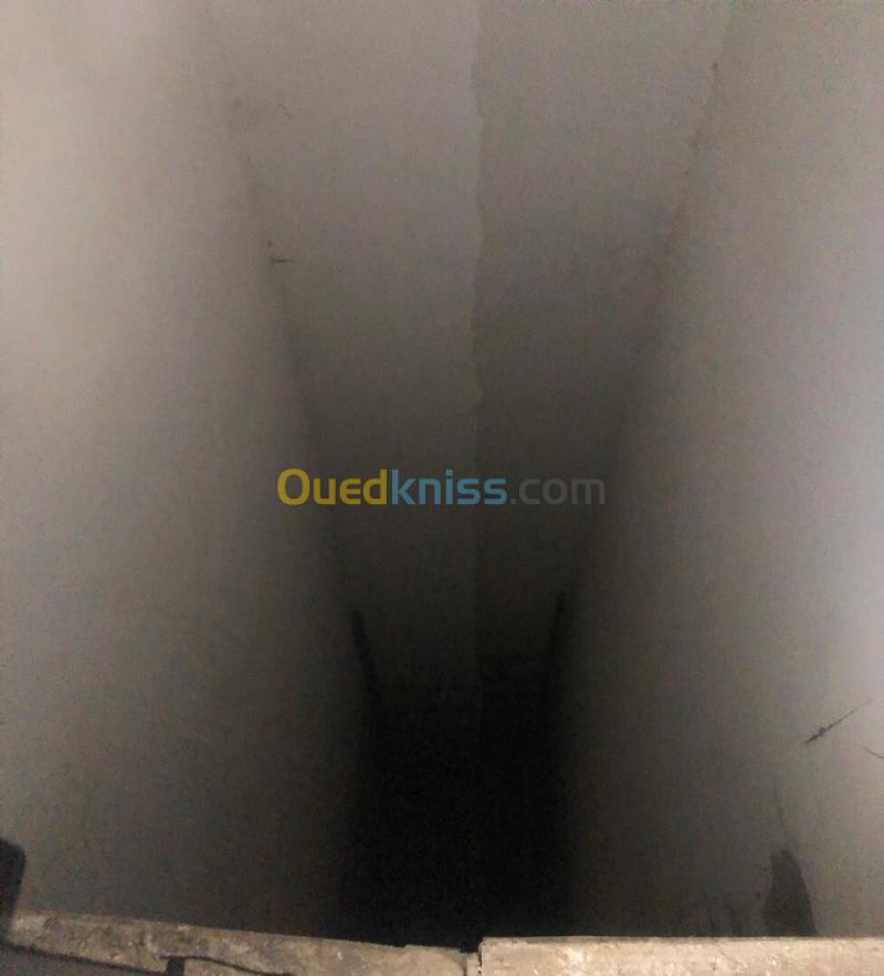 Vente Hangar - Usine Oran El Kerma 17