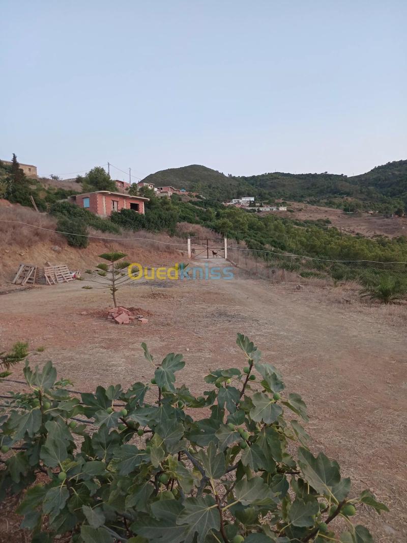 Location Villa Chlef Beni haoua 3