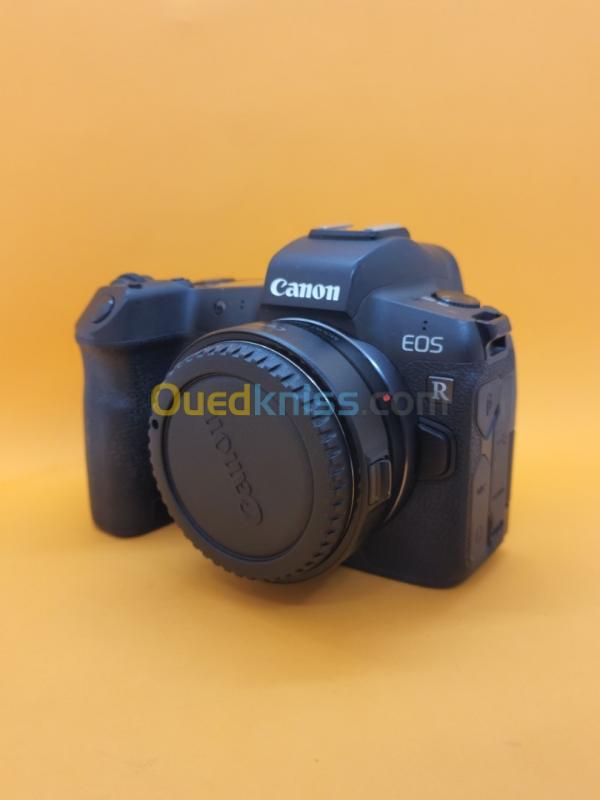  Canon R + Bague d'adaptation EF - EOS R