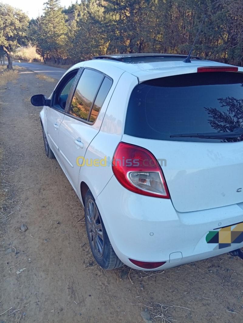 Renault Clio 3 2012 Night and Day 6