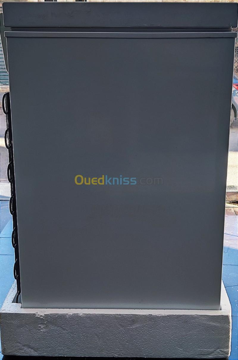 PROMO CONGELATEUR IRIS CF 100L 7
