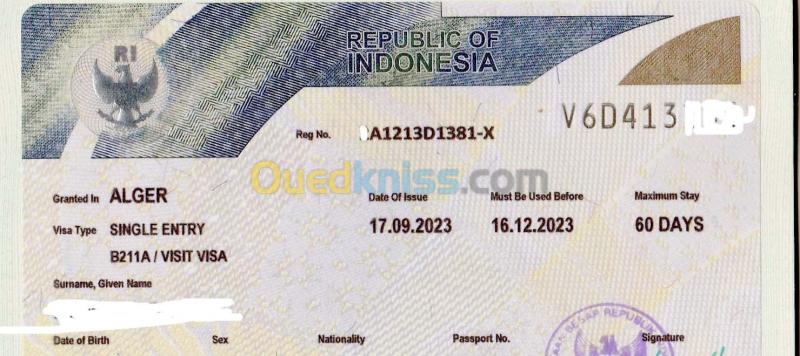  VISA indonesia