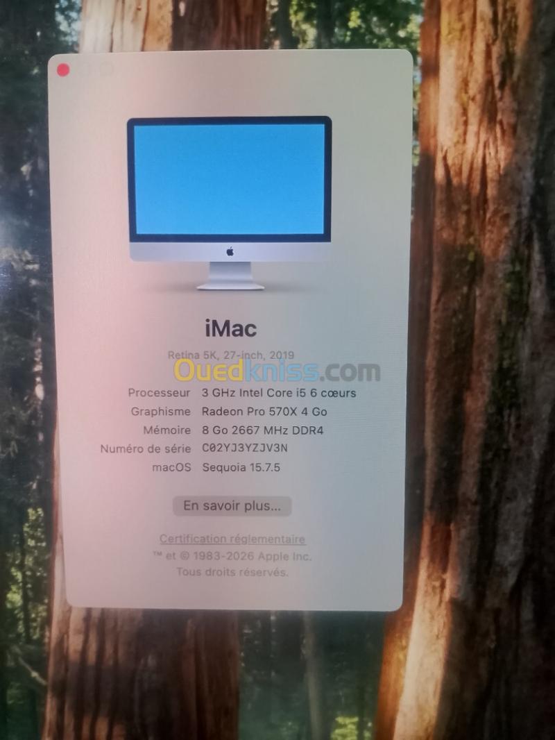 iMac (Retina 5K, 27 pouces, 2019) Core i5 8 Go DDR4 1 To 3