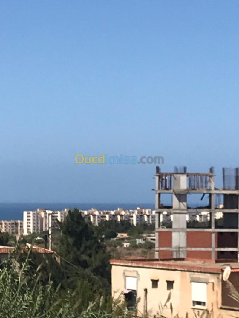 Vente Terrain Alger Ain benian