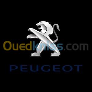  pièces détachées Peugeot 