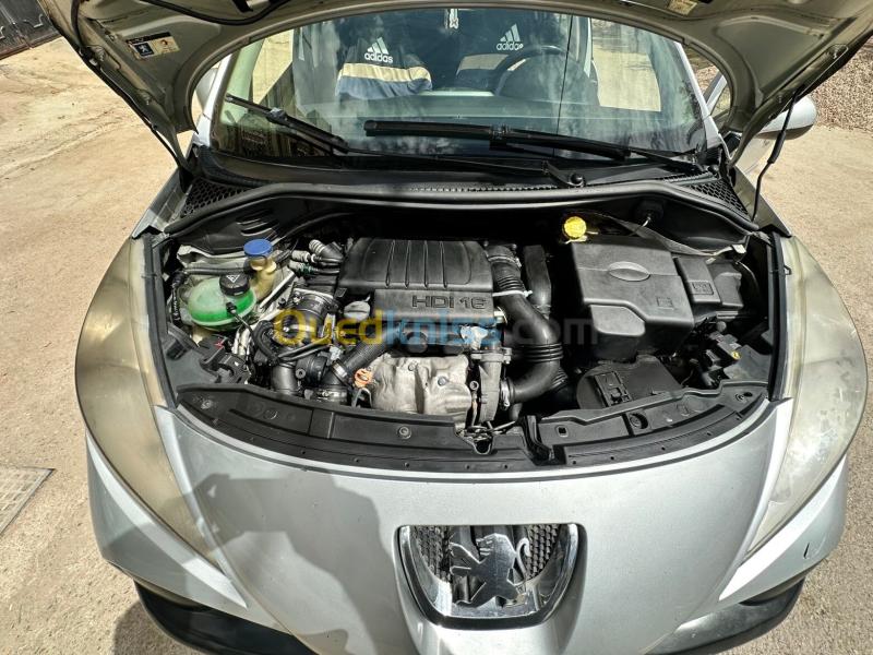 Peugeot 207 2008 207 9