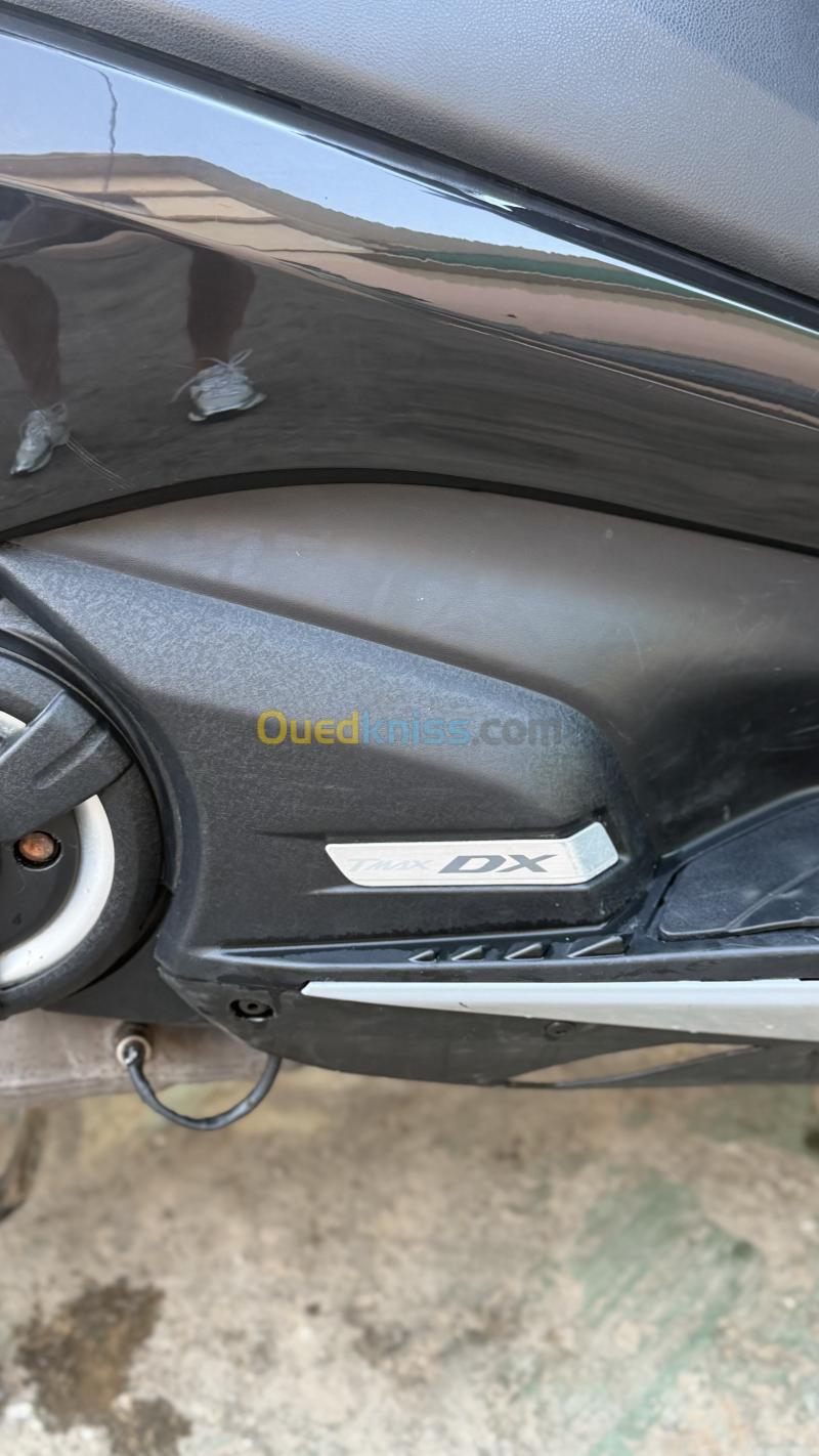 Yamaha Timax DX 2017 4