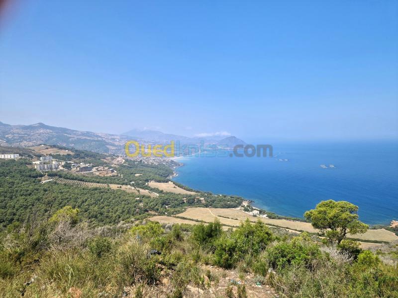 Location Bungalow Chlef Sidi abderrahmane 2