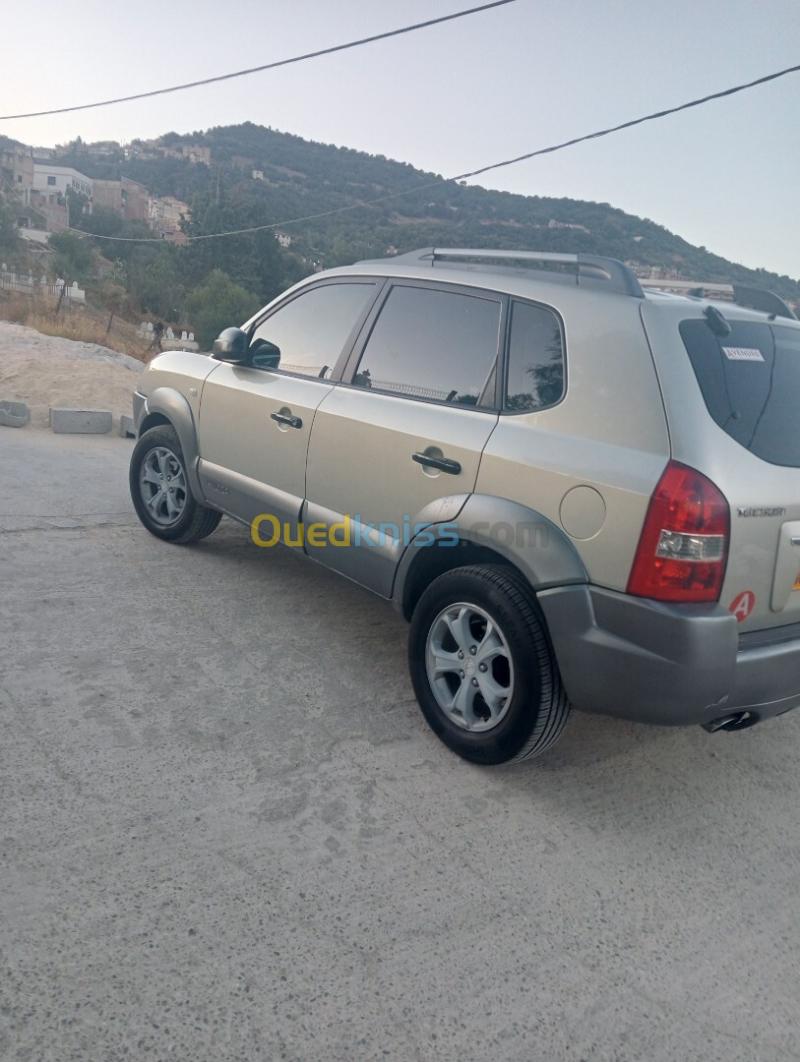 Hyundai Tucson 2010  6
