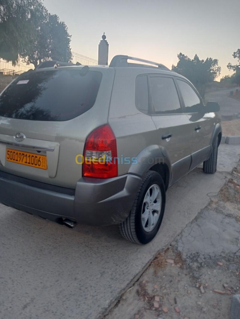 Hyundai Tucson 2010  7