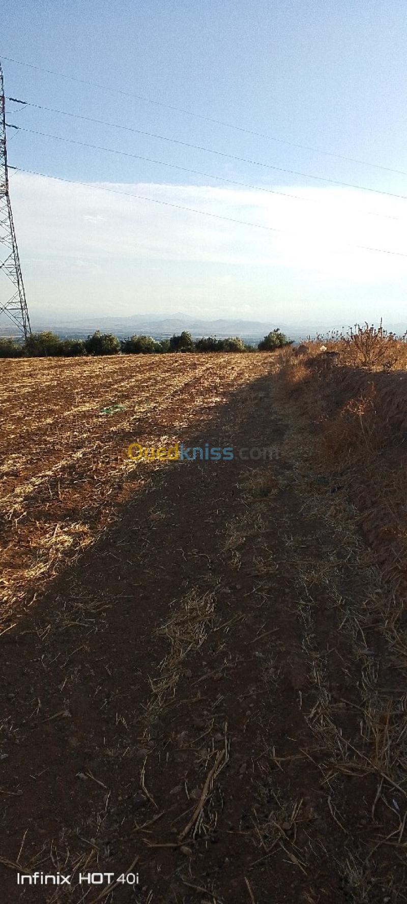 Vente Terrain Aïn Defla Ain soltane 5
