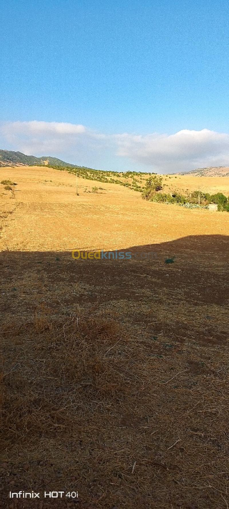 Vente Terrain Aïn Defla Ain soltane 3