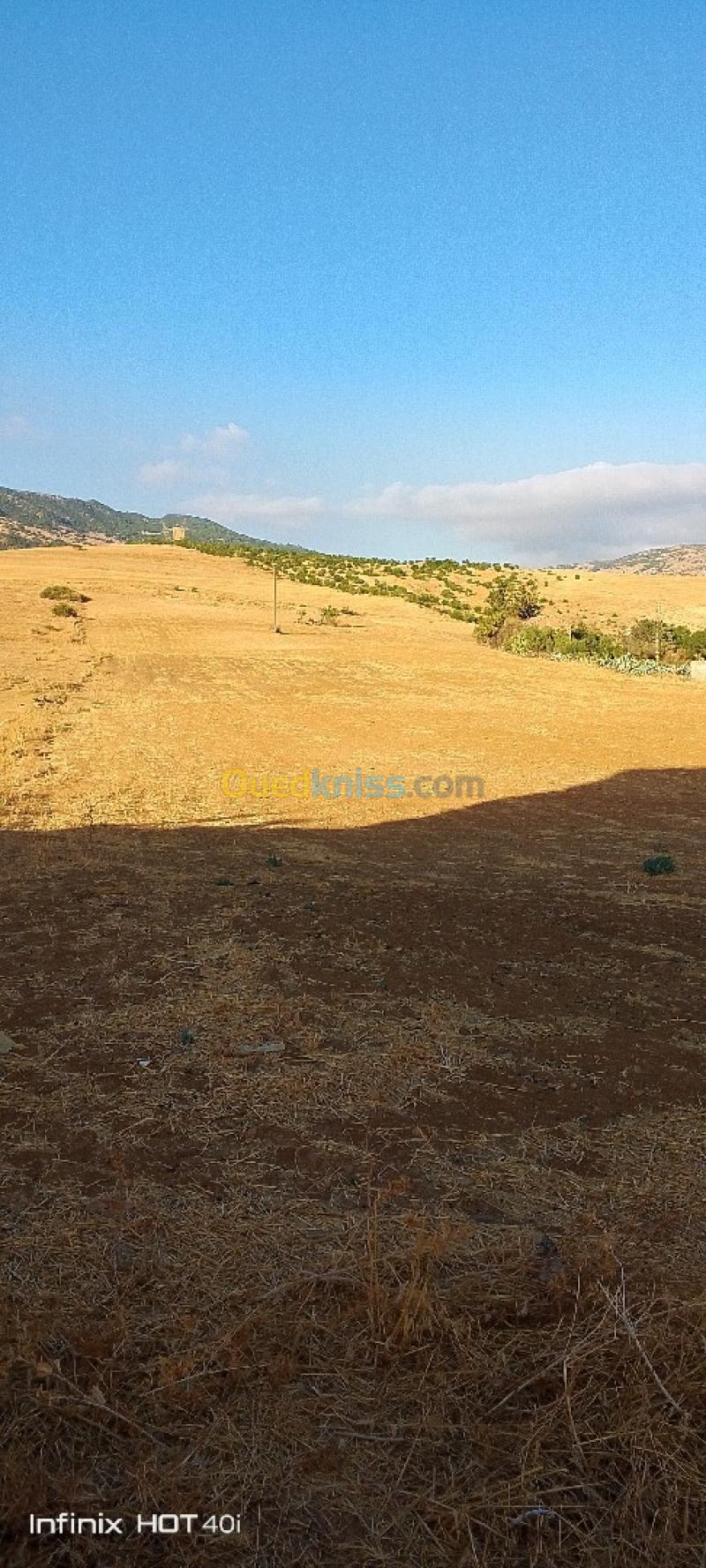 Vente Terrain Aïn Defla Ain soltane 8