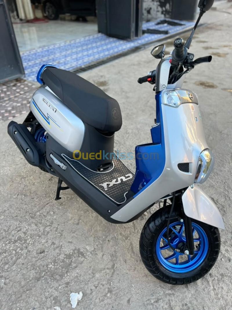 VMS coxi 1 2026 2
