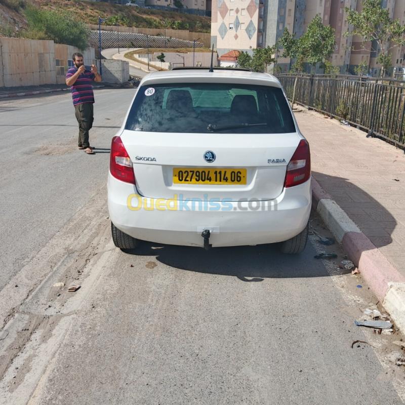 Skoda Fabia 2014 Fresh 5