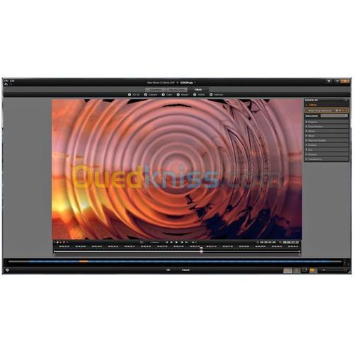 Pinnacle Dazzle Enregistreur DVD HD | Appareil de capture vidéo USB 2.0 + logiciel de montage vidéo  3