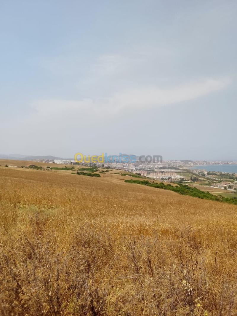 Vente Terrain Agricole Jijel Jijel 3