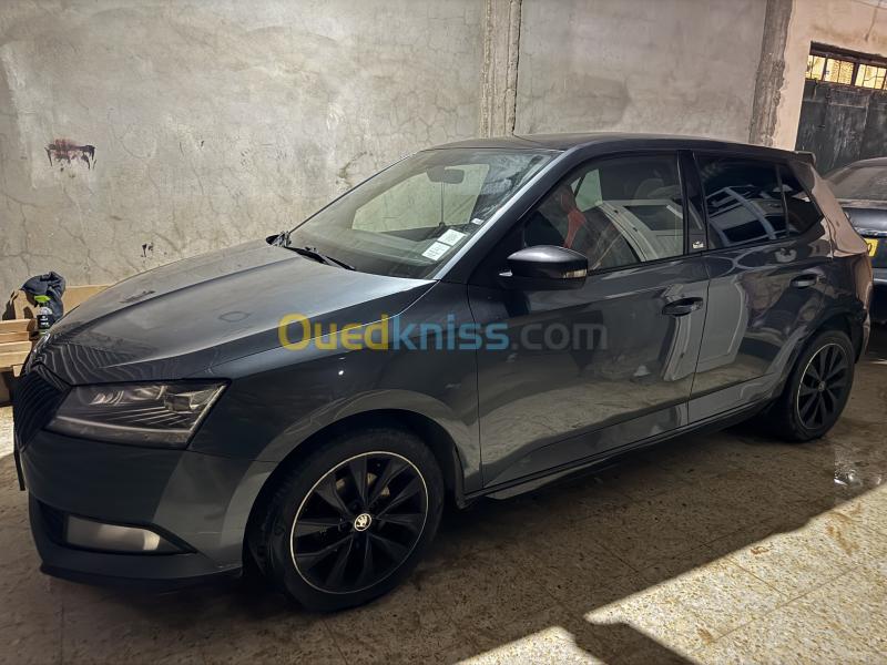 Skoda Fabia 2020 Monte Carlo 17