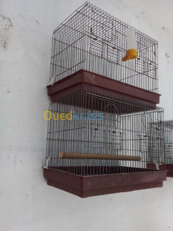  Cages séparation pour oiseaux 