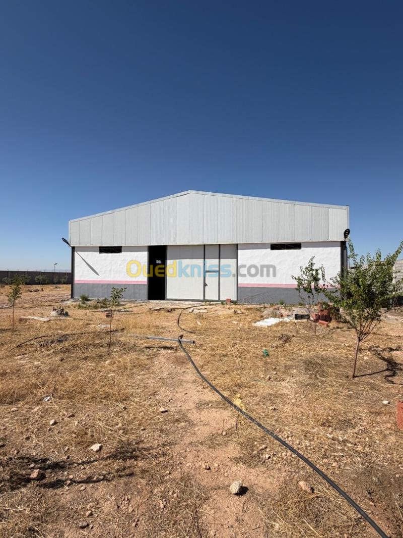 Location Hangar - Usine Sétif Ain arnat 12