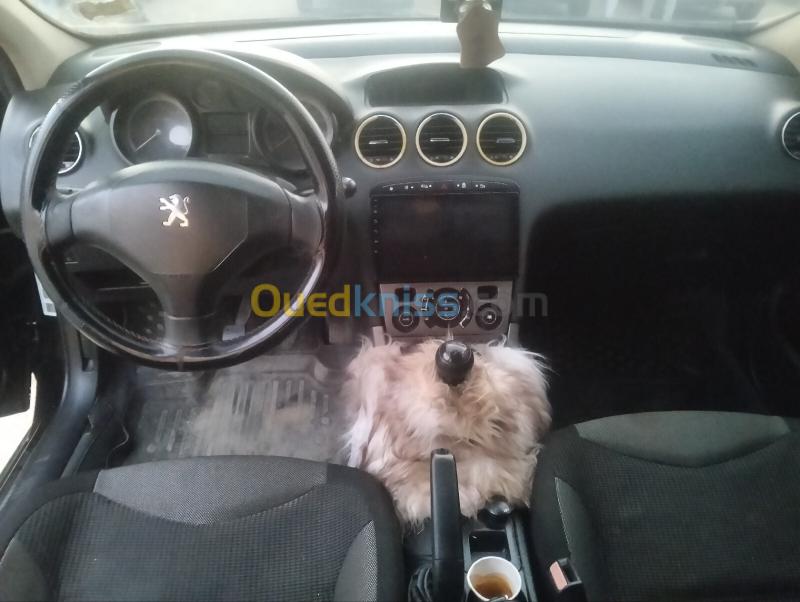 Peugeot 308 2008  6