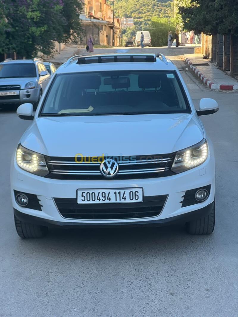 Volkswagen Tiguan 2014 Cup