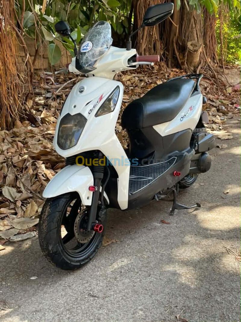 Sym Orbit 2 2019