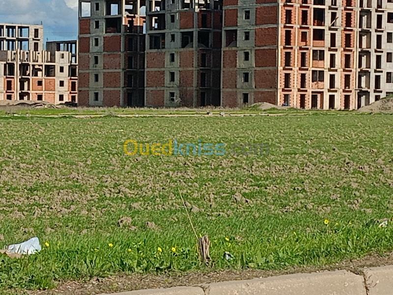 Vente Terrain Alger Draria 5