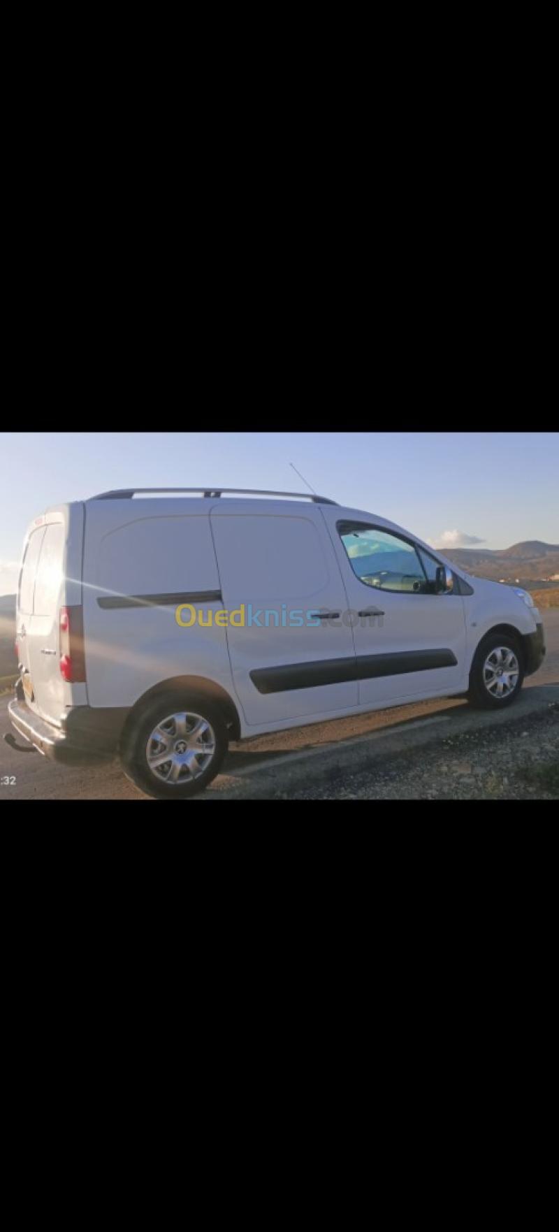 Peugeot B9 2012  9