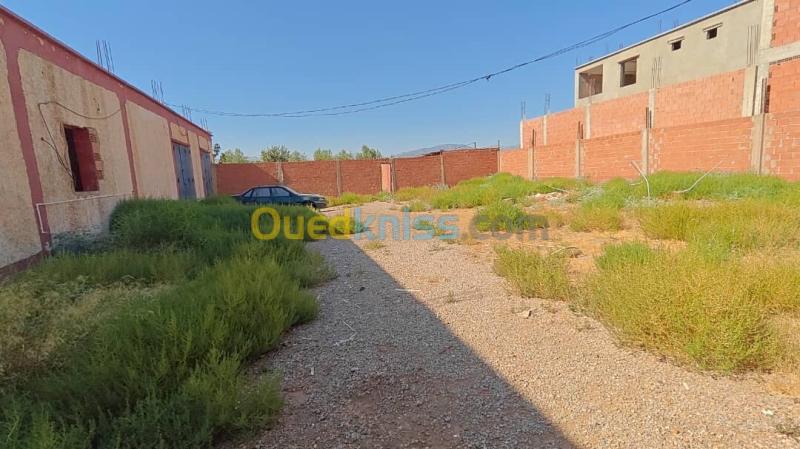 Vente Terrain Aïn Defla Rouina 3