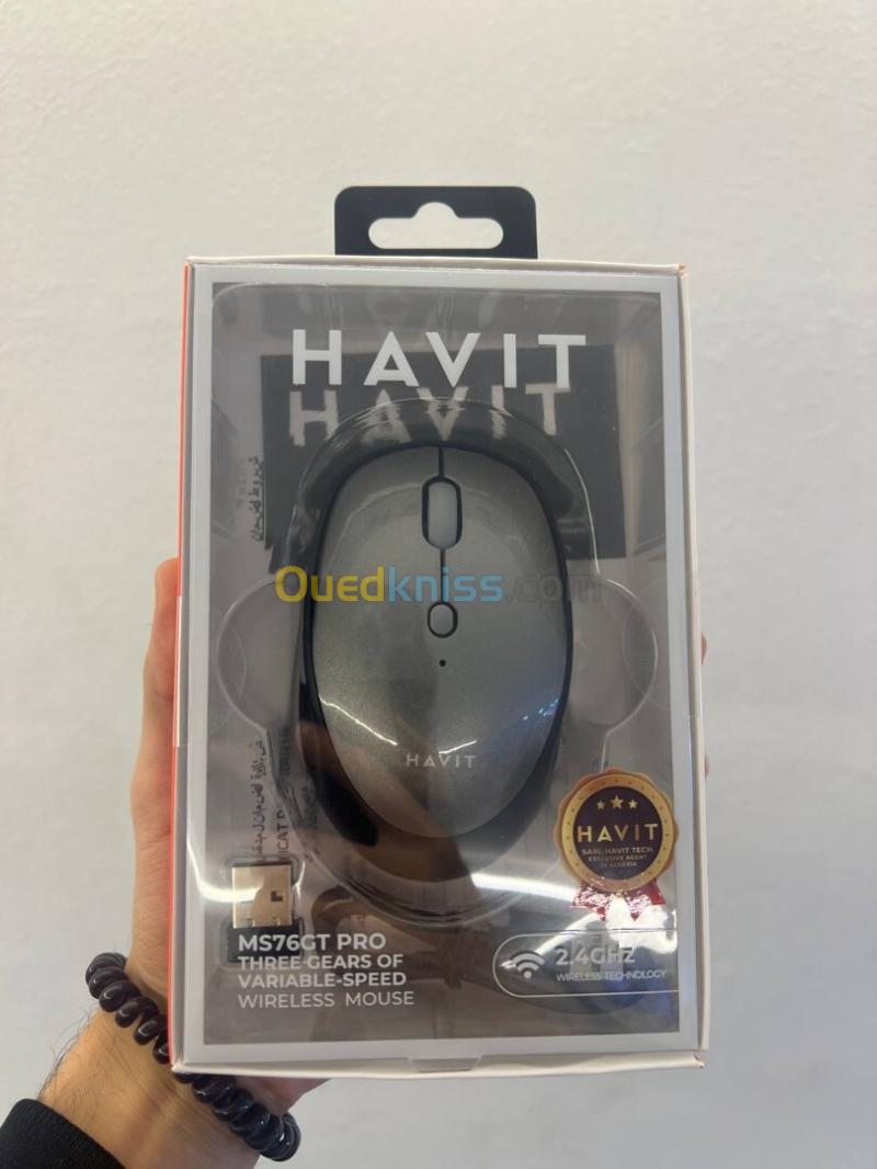 HAVIT MS76GT PRO GRIS - SOURIS SANS FIL - CONNEXION 2.4GHZ - PRÉCISION OPTIQUE - DESIGN ERGONOMIQUE - SILENCIEUSE - GREY