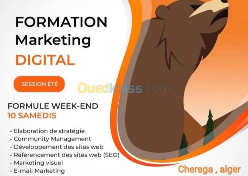  Formation Marketing Digital