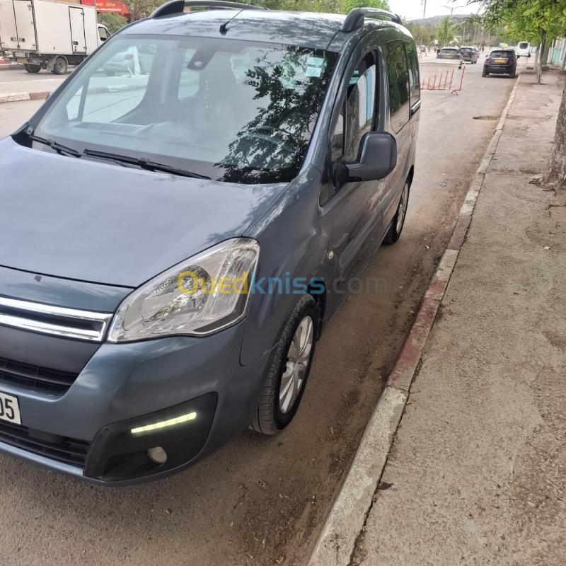 Citroen Berlingo Multispace 2008  2