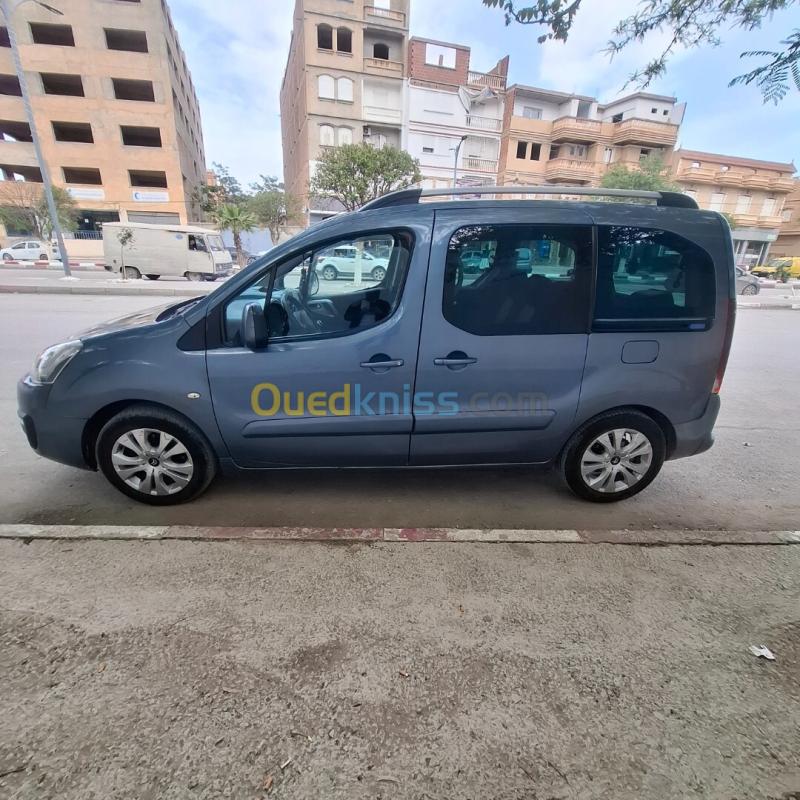 Citroen Berlingo Multispace 2008  4