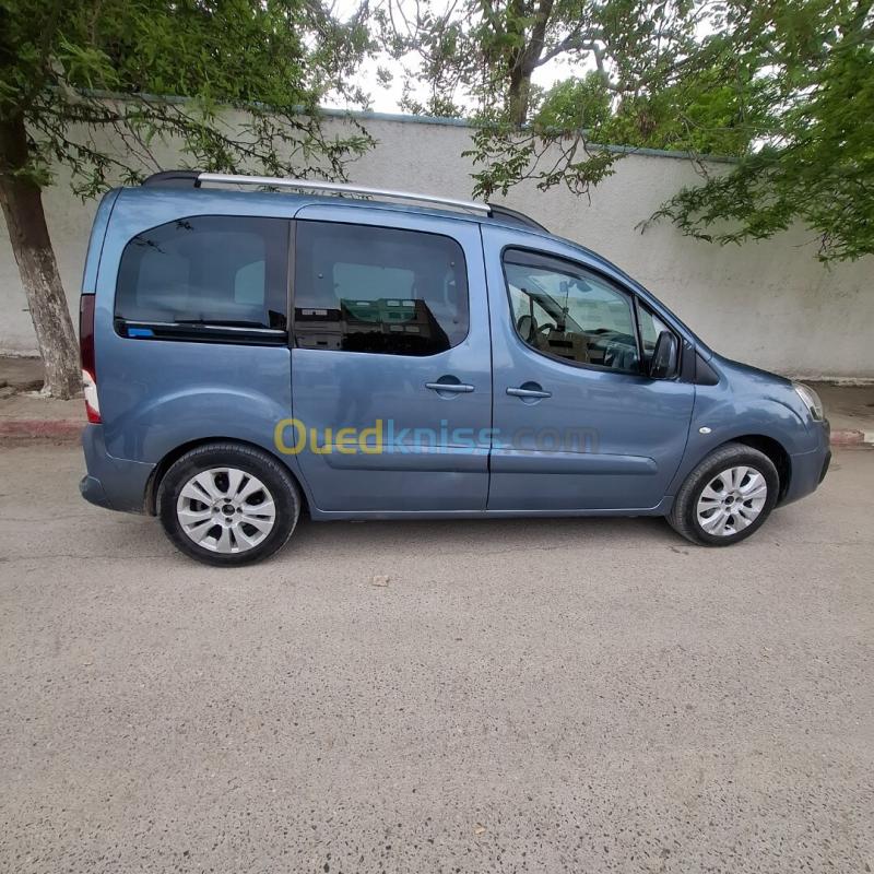 Citroen Berlingo Multispace 2008  9