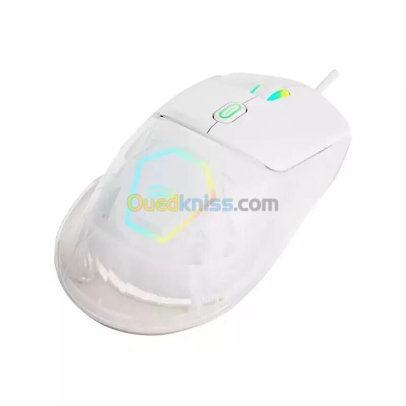 SOURIS GAMING HAVIT MS965SE RGB 12800DPI