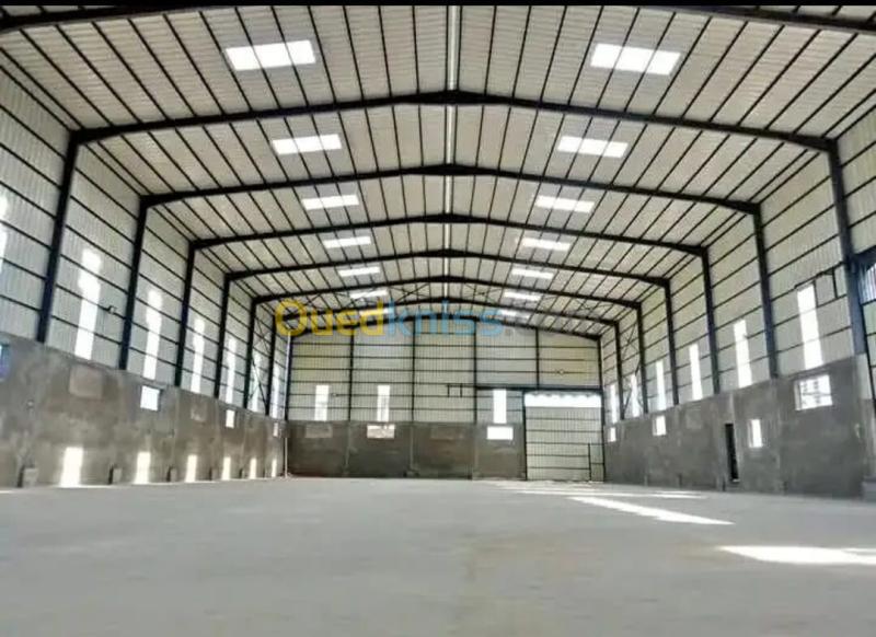 Location Hangar - Usine Alger Birtouta